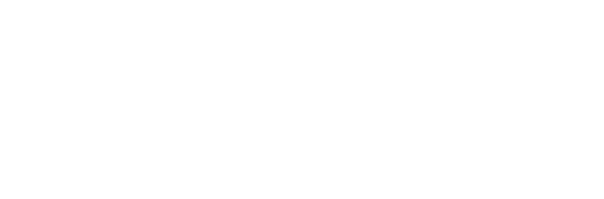 BOOZI BAR LOGO2